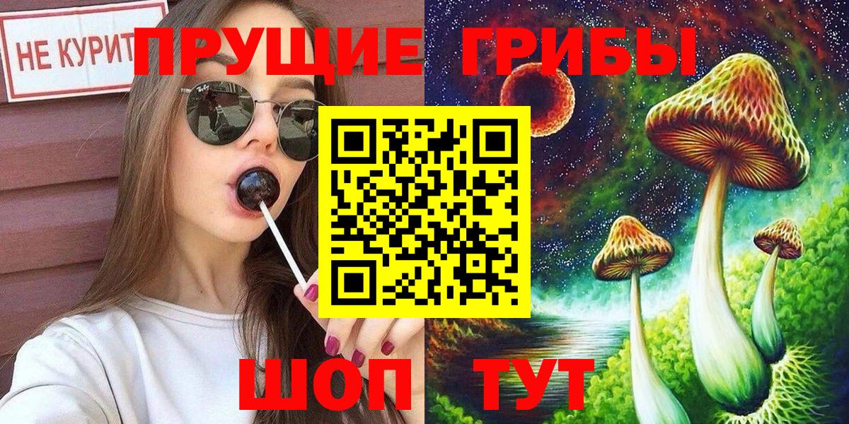 Псилоцибиновые грибы мицелий  Вход с VPN  купить   Кисловодск  Галлюциногенные грибы Magic Shrooms 